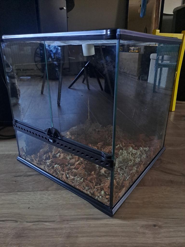 exo terra terrarium, Dieren en Toebehoren, Reptielen en Amfibieën | Toebehoren, Ophalen, Zo goed als nieuw