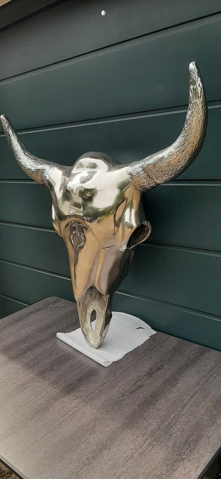 Buffel Schedel. Heel mooi en groot., Ophalen, Zo goed als nieuw, Zilver, Metaal