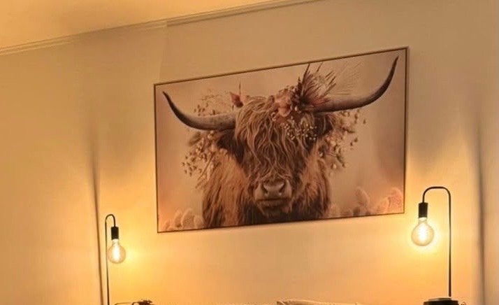 Schilderij Schotse Hooglander met bloemen, 50 – 75, Verzenden, Zo goed als nieuw, Schilderij