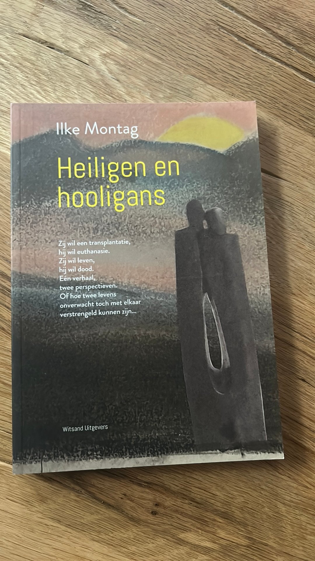Heiligen en hooligans - Ilke Montag, Ilke Montag, Ophalen of Verzenden, Ontwikkelingspsychologie, Zo goed als nieuw