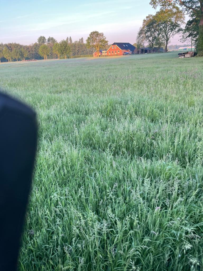 Kleine pakjes grof hooi af land +-22 kg, Toebehoren
