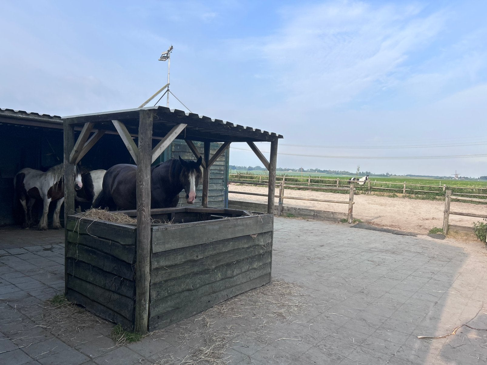 plekje vrij op doe het zelf stal (zevenhuizen zuid holland), Dieren en Toebehoren, Stalling en Weidegang, Weidegang, 1 paard of pony