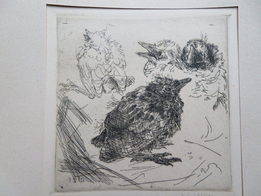 Antieke ets uit 1920, Antiek en Kunst, Kunst | Etsen en Gravures, Ets, Ophalen of Verzenden, 1900 - 1949, Flora en Fauna