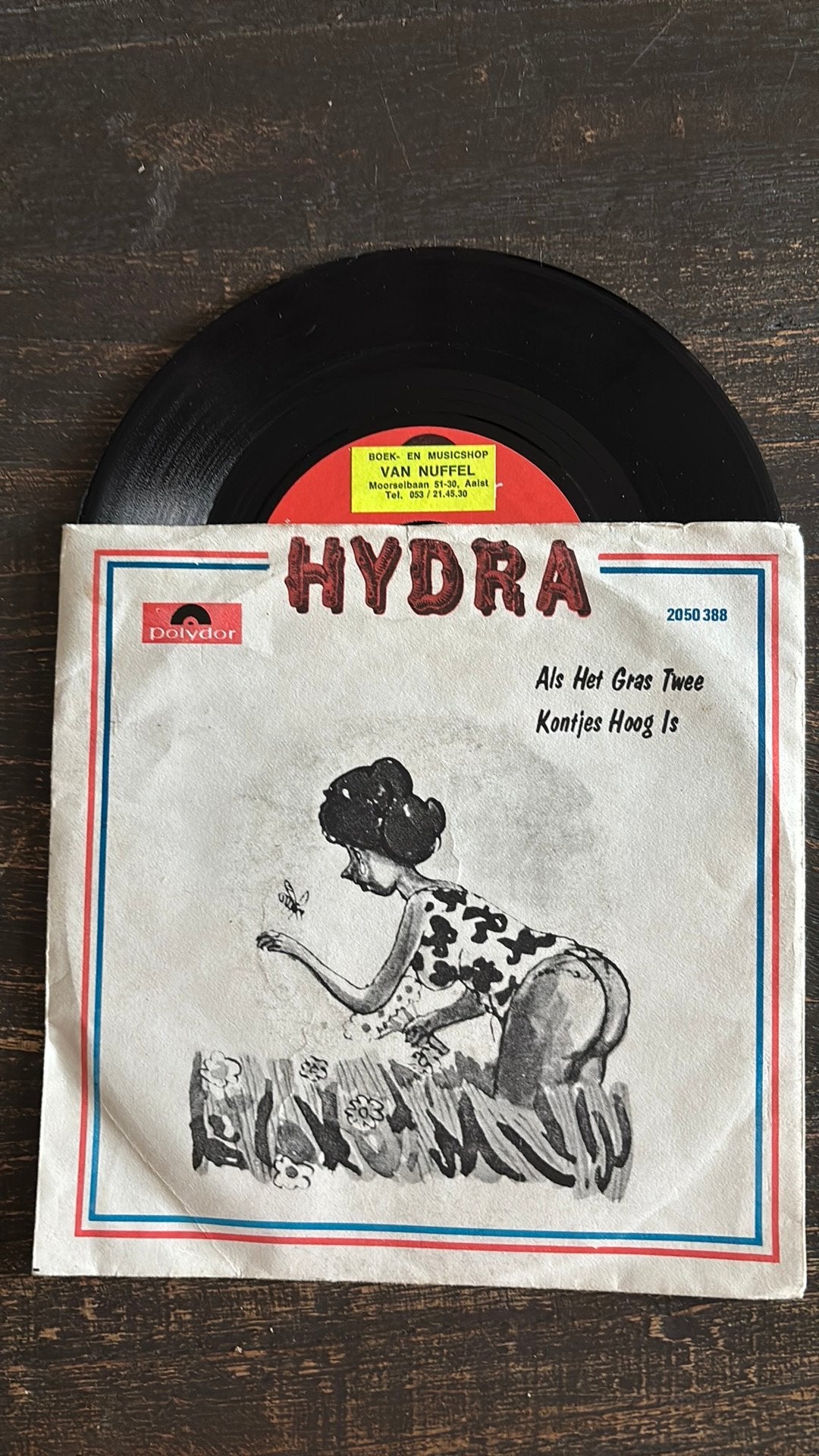 Hydra - Als het gras twee kontjes hoog is, Ophalen of Verzenden, Zo goed als nieuw, Nederlandstalig