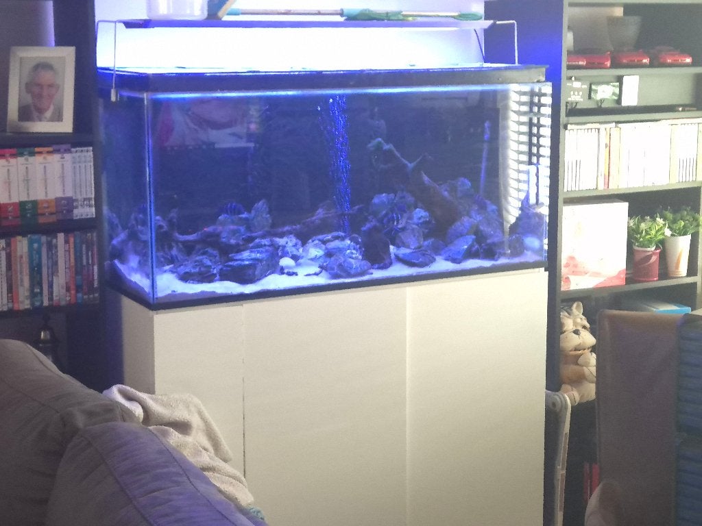 aquarium 1m25 breed, Ophalen, Gebruikt, Leeg aquarium
