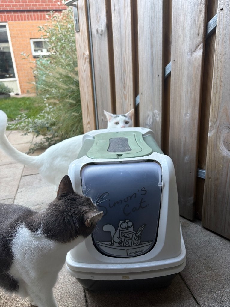 Kattenbak Simon’s cat, Ophalen, Zo goed als nieuw, Gesloten