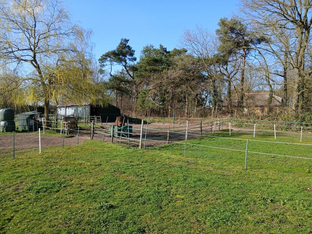 Mooie rustige eigen plek in Maarsbergen,direct aan het bos., Dieren en Toebehoren, Stalling en Weidegang