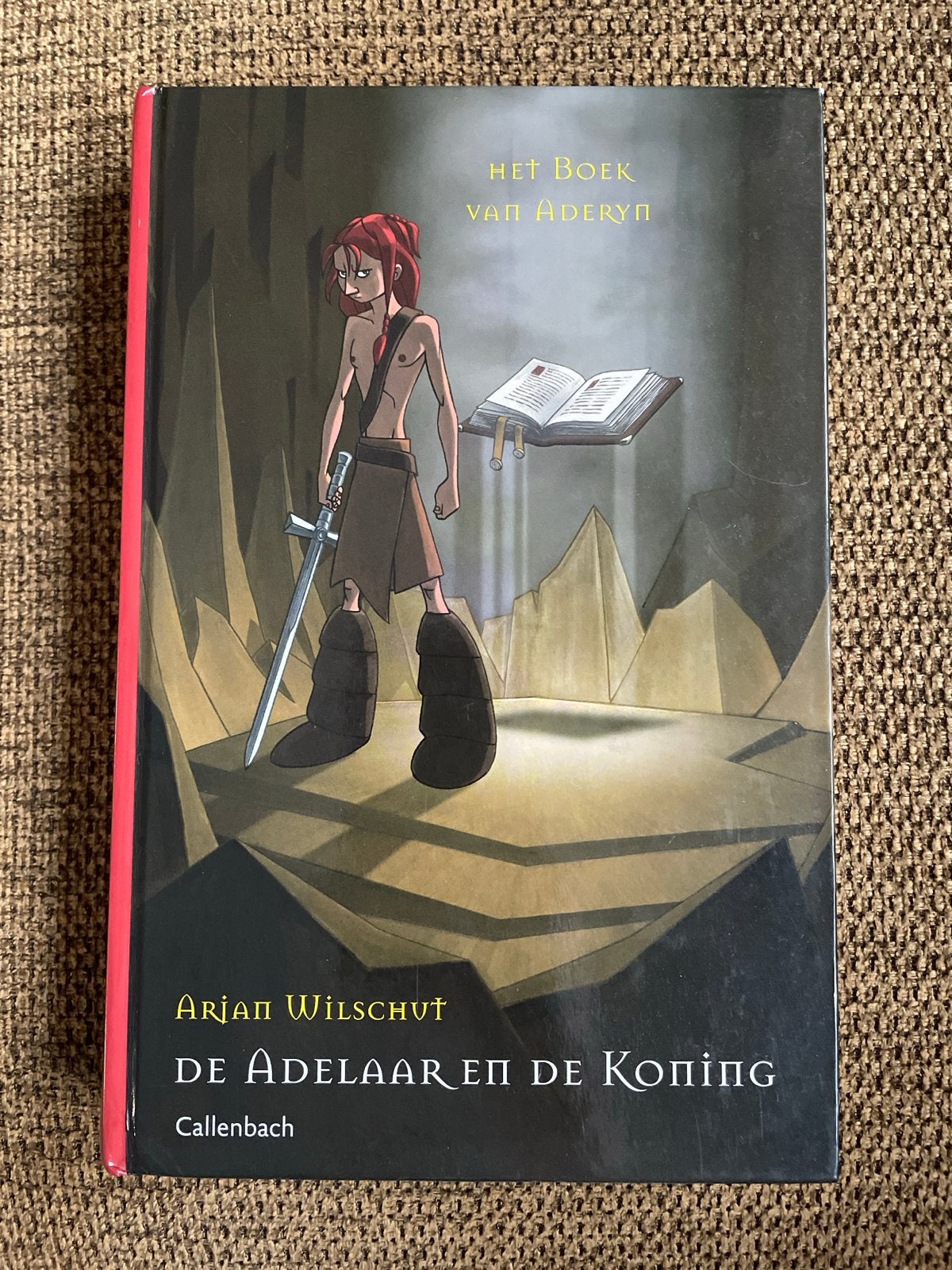Arjan Wilschut - De adelaar en de koning, Ophalen of Verzenden, Zo goed als nieuw, Arjan Wilschut