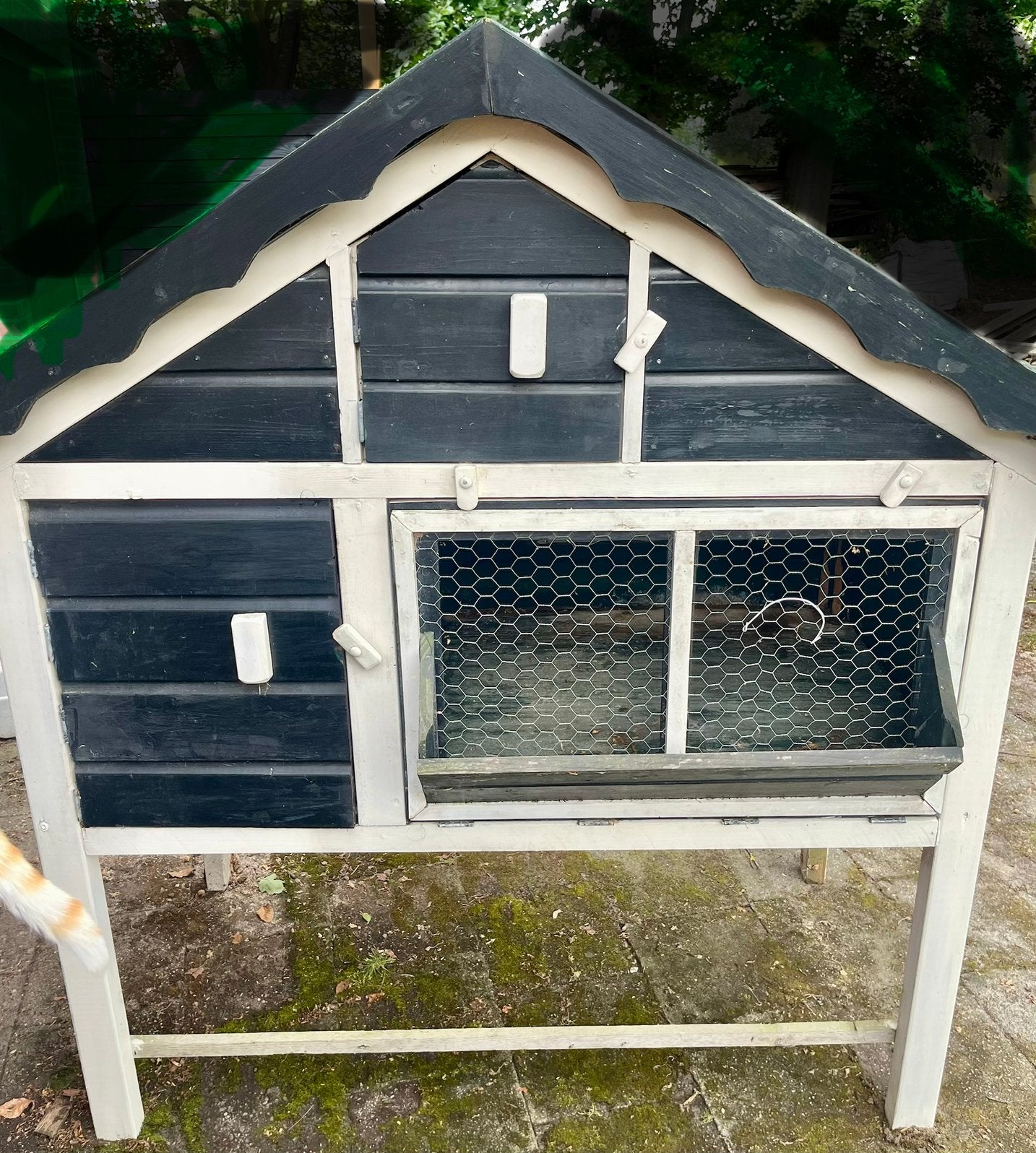 Konijnenhok / knaagdierhok, Dieren en Toebehoren, Knaagdieren en Konijnen | Hokken en Kooien, Ophalen, 90 cm of meer, Konijn, Hok
