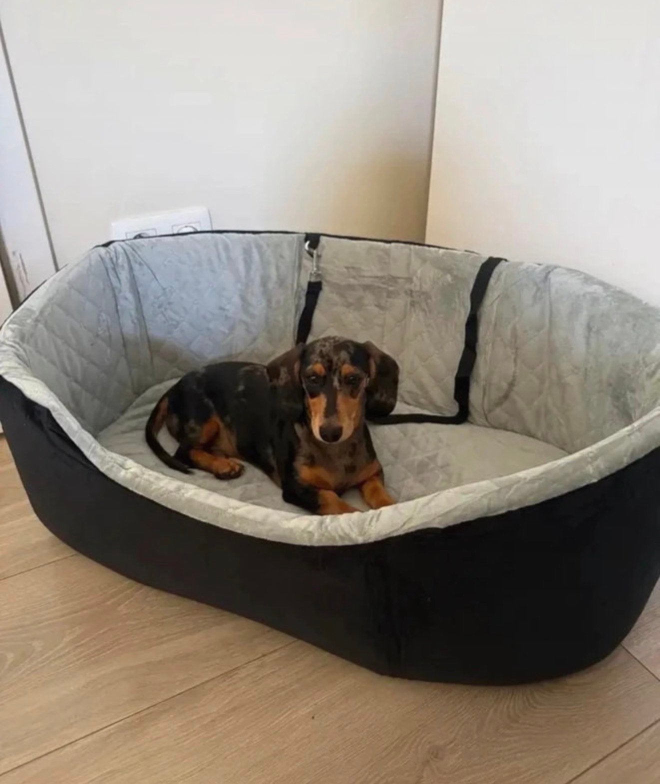 Honden automand, Dieren en Toebehoren, Ophalen of Verzenden, Nieuw