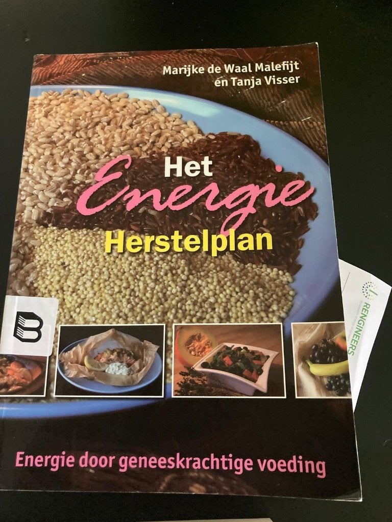marijke de waal, het energie herstelplan, Boeken, Chicklit, Ophalen of Verzenden, Zo goed als nieuw