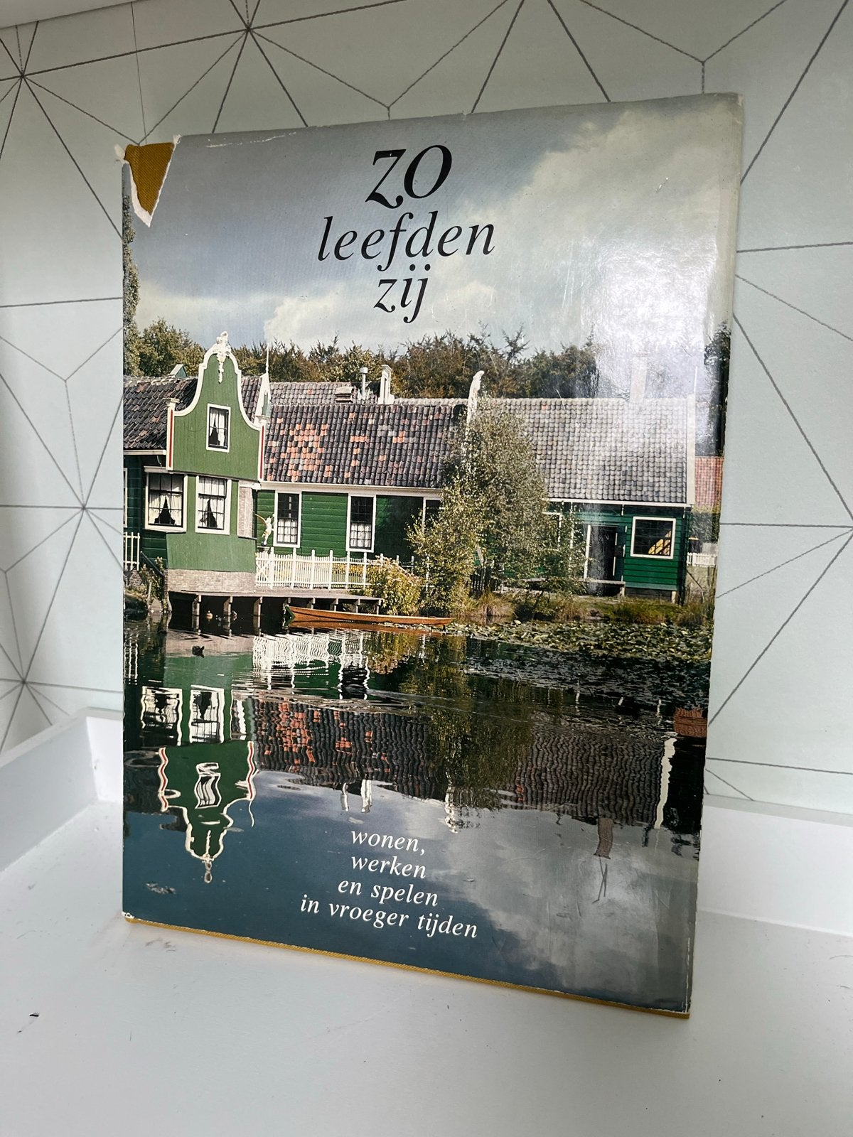Zo leefden zij - Wonen, werken en spelen in vroeger tijden, Boeken, Ophalen of Verzenden, 20e eeuw of later, Gelezen