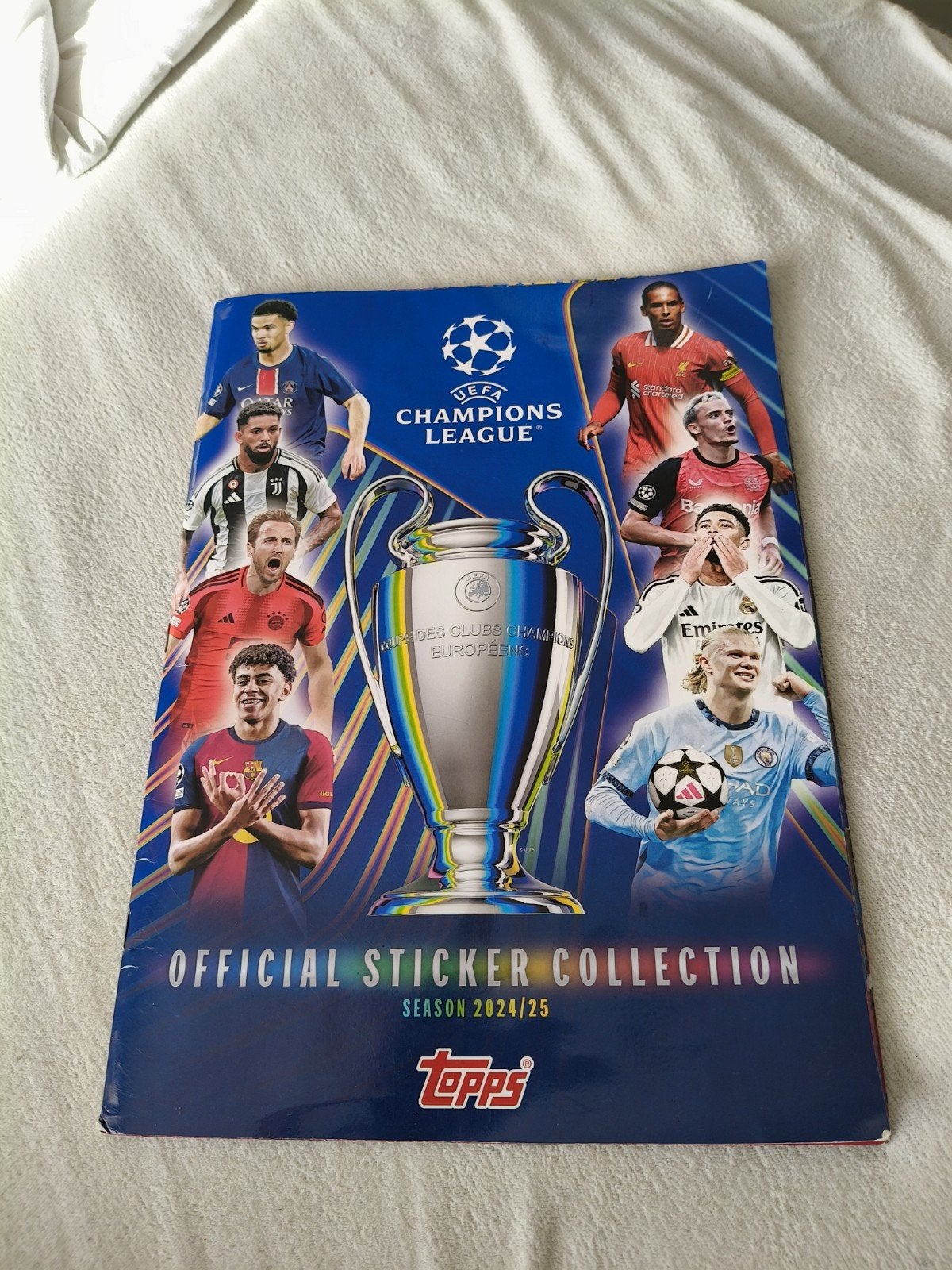 Official sticker album, Verzamelen, Sportartikelen en Voetbal, Ophalen of Verzenden