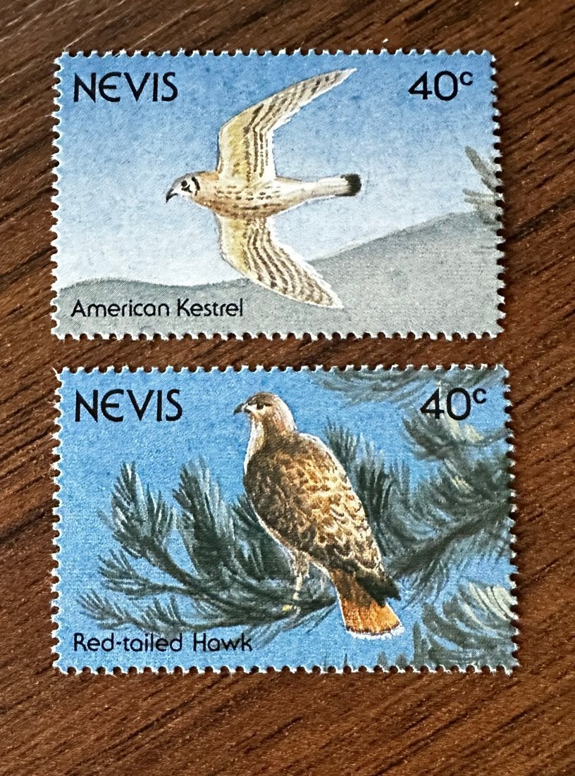 Nevis 1991 Roofvogels vogels - American Kestrel & Red-tail, Ophalen of Verzenden, Postfris, Noord-Amerika