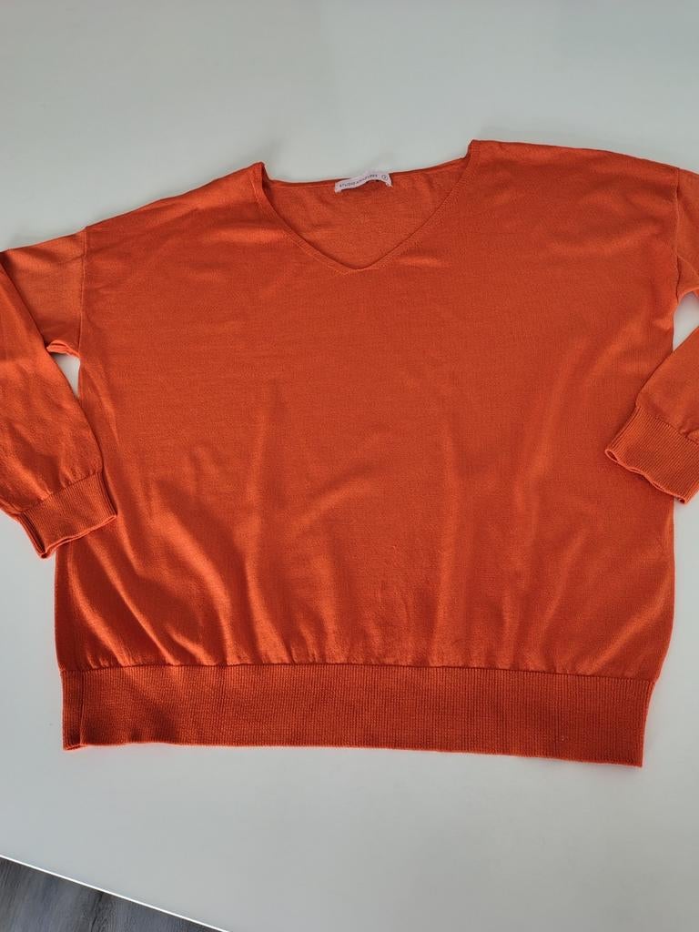 Trui Studio Anneloes S, Studio Anneloes, Oranje, Ophalen of Verzenden, Maat 36 (S)