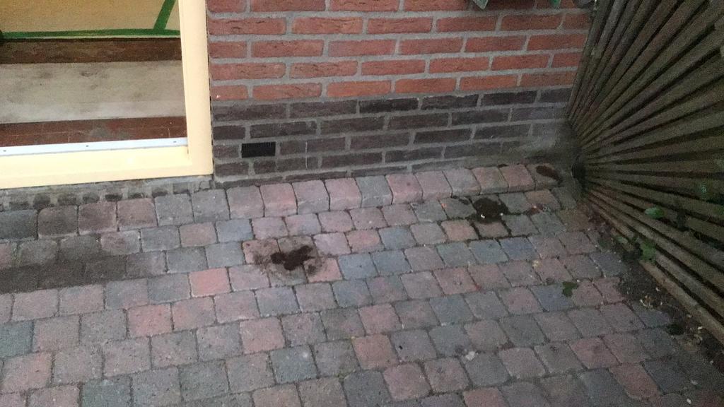 Koppestones, Dieren en Toebehoren