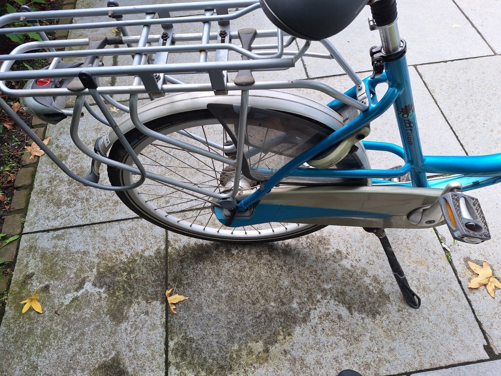 Foto 4 van Gazelle Bloom moederfiets