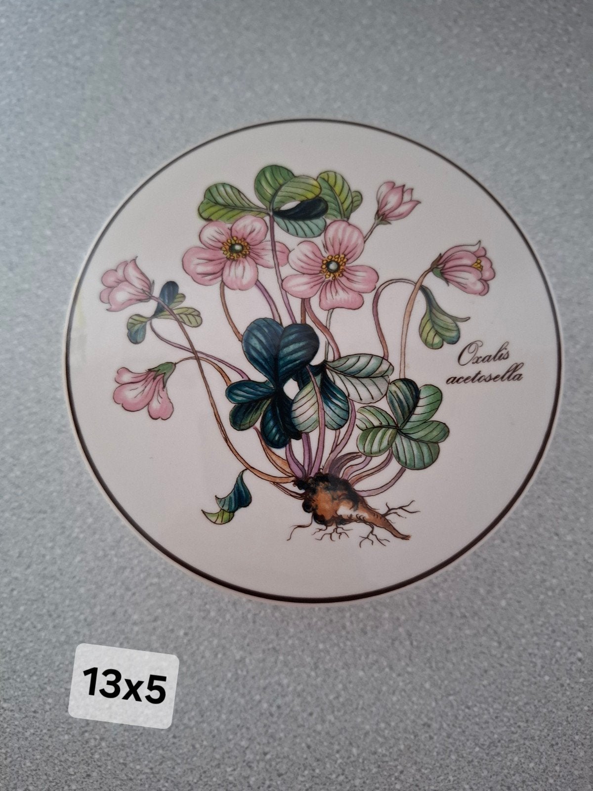 Villeroy & Boch Botanica Vitro Porseleinen Doosje, Ophalen of Verzenden