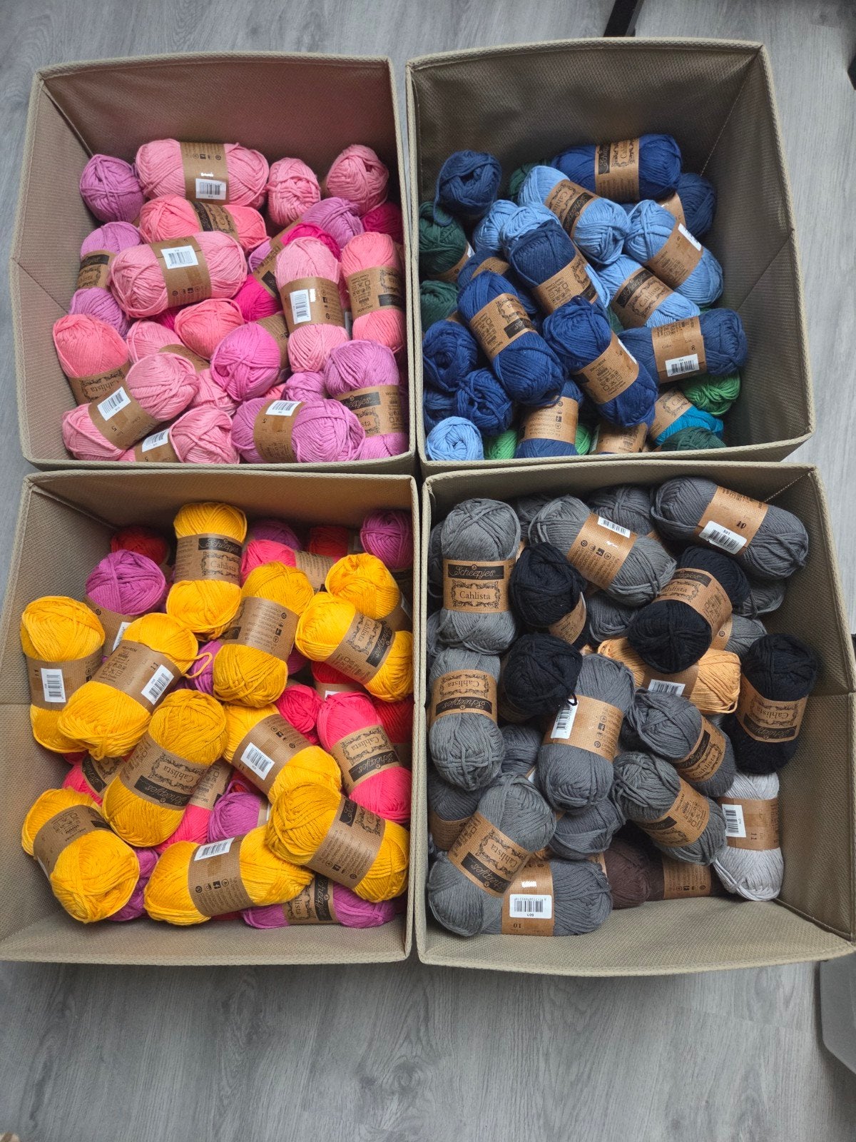 Scheepjes Cahlista, Ophalen of Verzenden, Nieuw, Breien of Haken, Wol of Garen