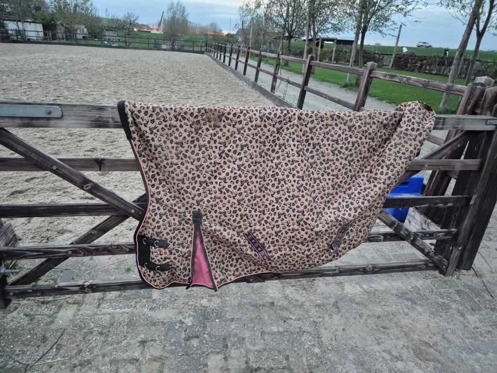 Diverse paardenspullen te koop!, Dieren en Toebehoren, Paarden en Pony's | Dekens en Dekjes, Ophalen of Verzenden