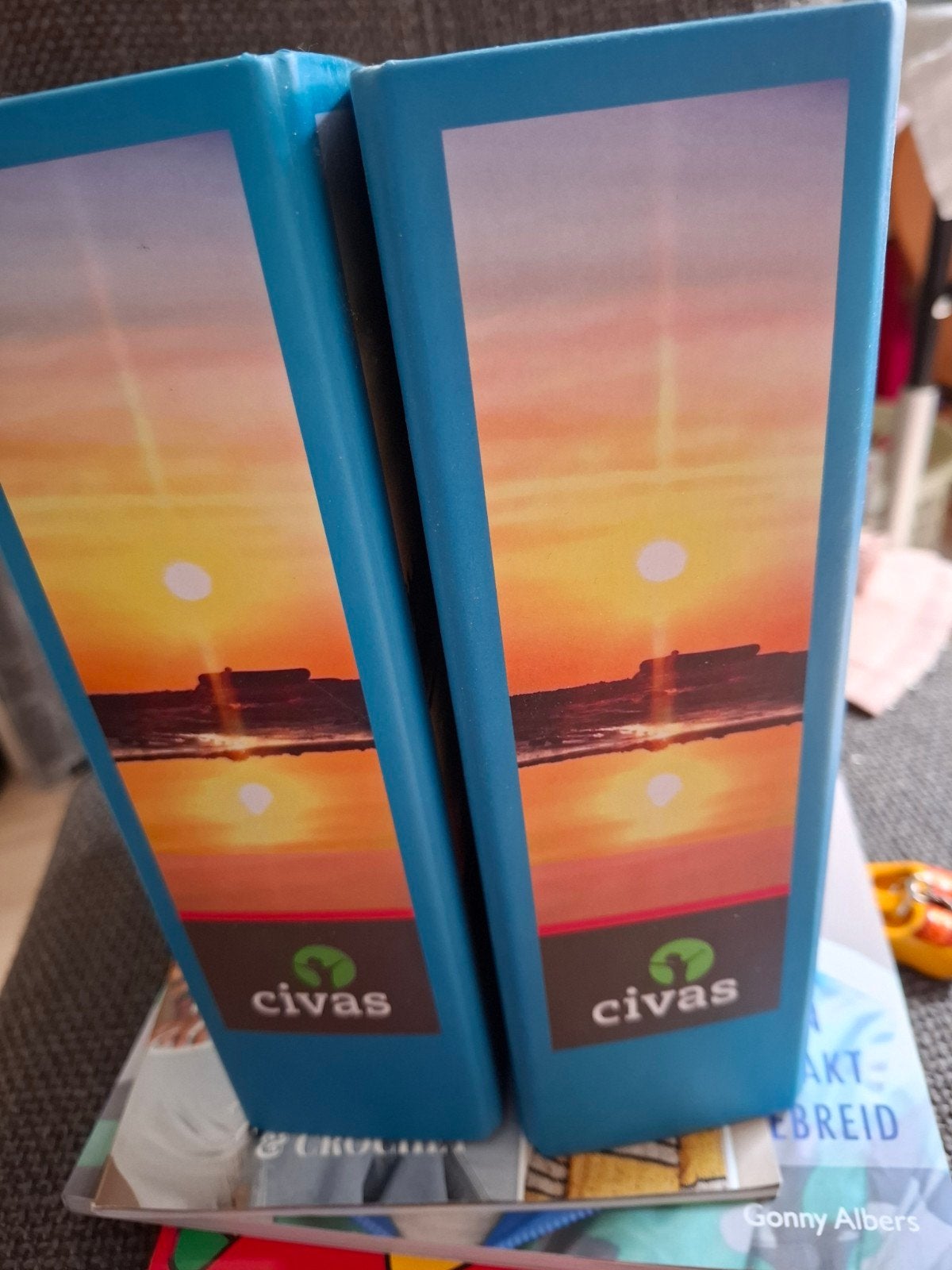 Civas Voetreflextherapie Studieboeken, Boeken, Studieboeken en Cursussen, Ophalen, Civas, Zo goed als nieuw, MBO