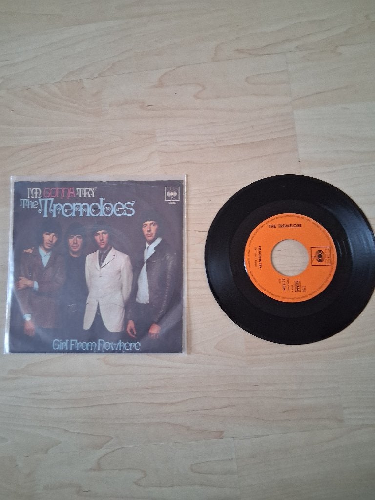 the Tremeloes, Ophalen of Verzenden, Gebruikt, Pop