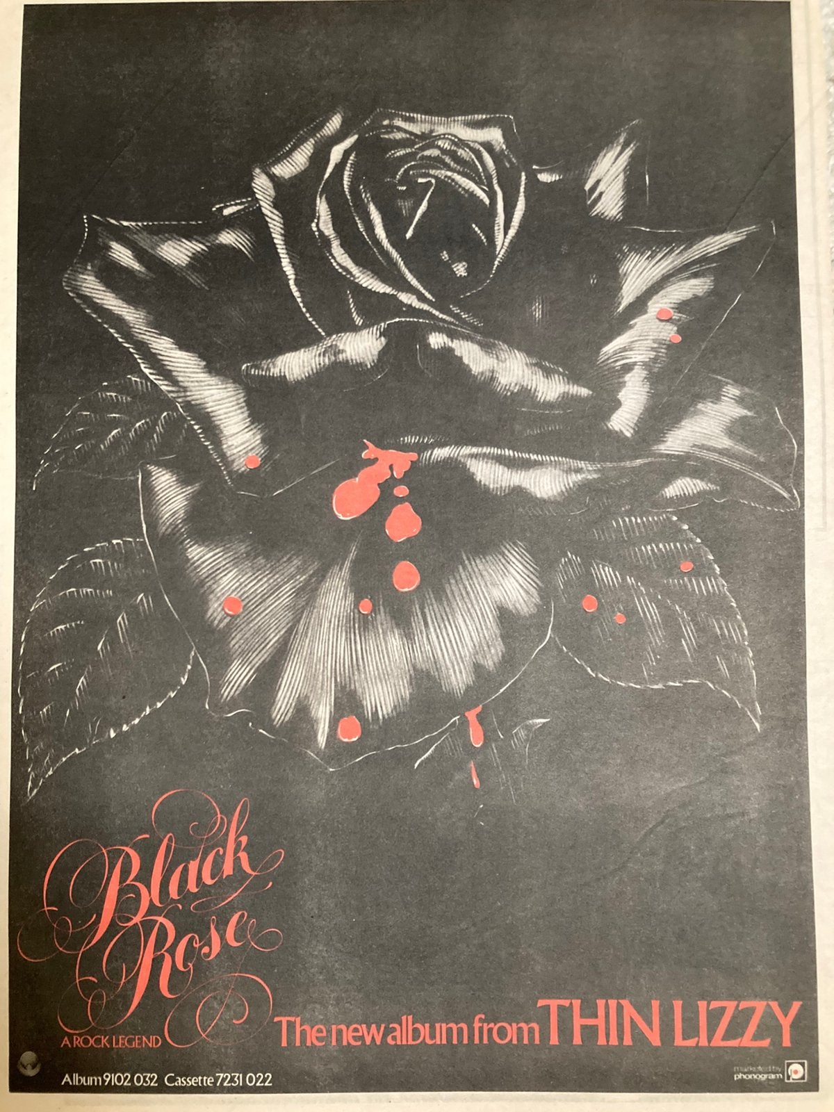 Paginagrote A3 advertentie THIN LIZZY Black Rose release, Ophalen of Verzenden, Zo goed als nieuw