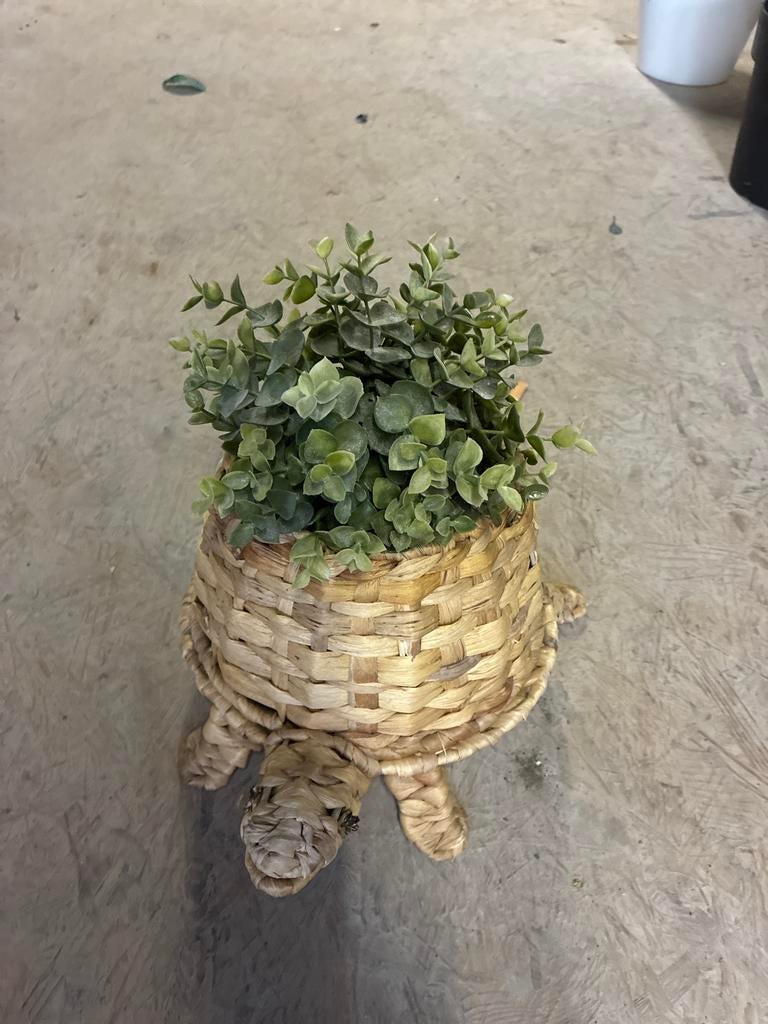 Leuke kunstplant in schildpad pot, Ophalen, Binnen, Natuurlijk materiaal, Groen