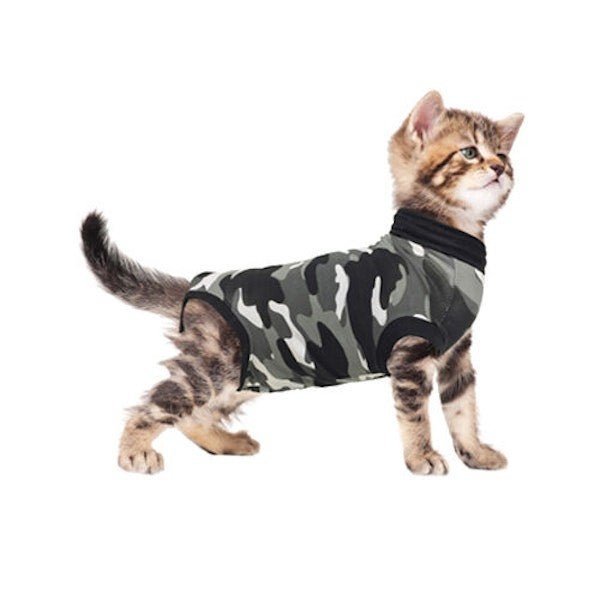 Suitical Recovery Suit Kitten maat xxxs, Dieren en Toebehoren, ., Nieuw, Ophalen of Verzenden, .