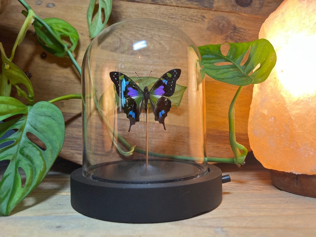 Vlinder in stolp, Ophalen of Verzenden, Nieuw, Handgemaakt, 13 cm