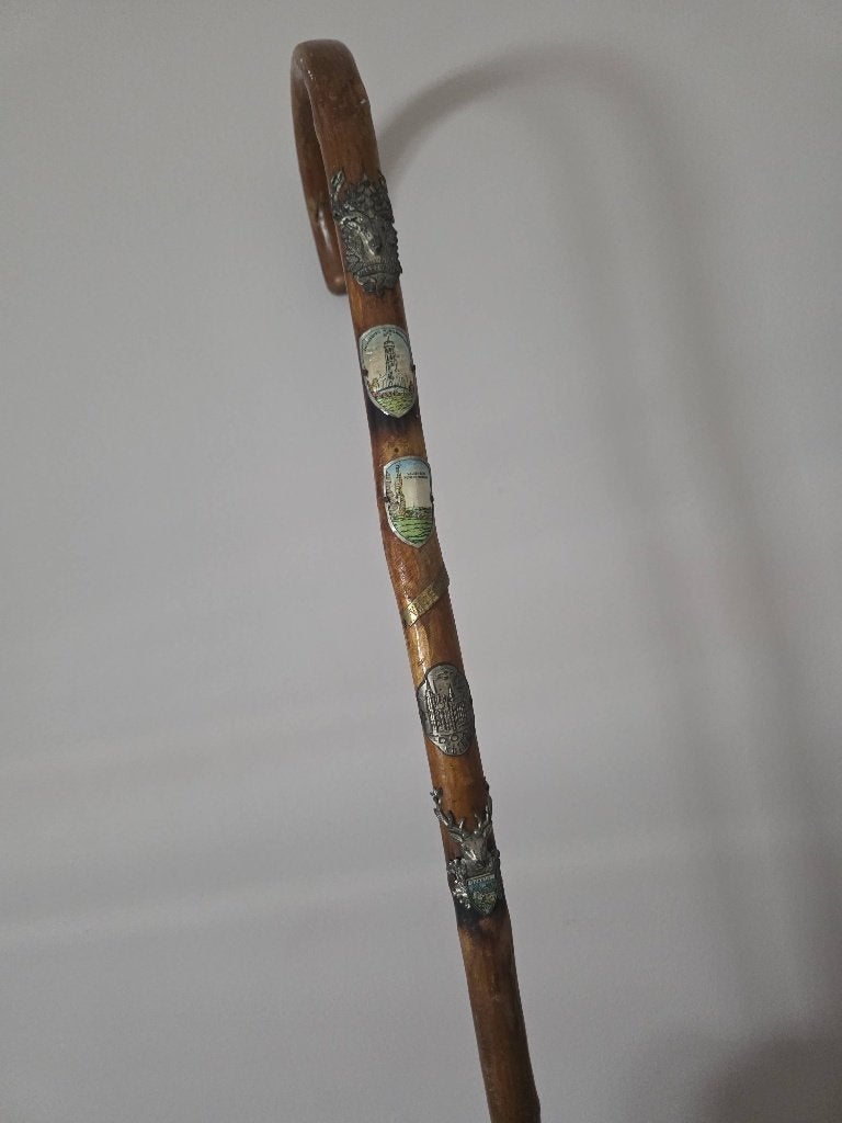 Wandelstok, Ophalen of Verzenden, Gebruikt