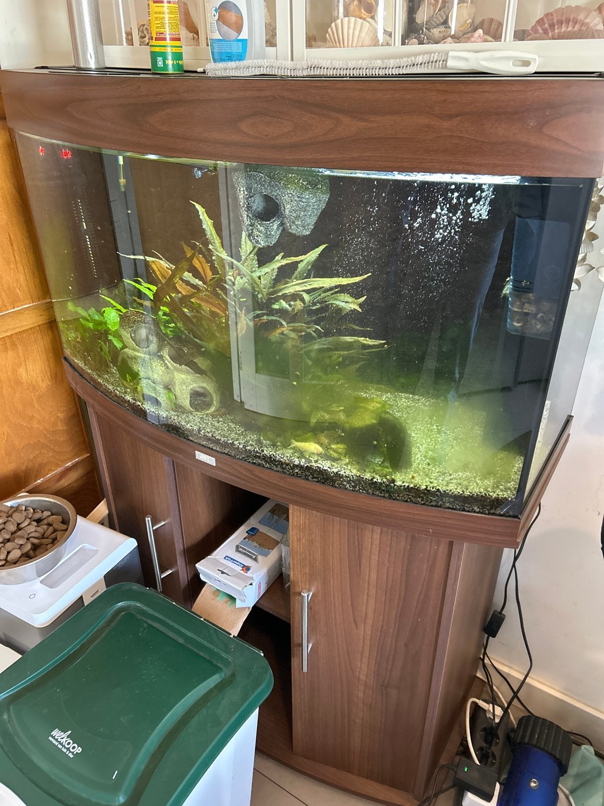 Compleet juwel aquarium 90x 55x 30 cm, Ophalen, Gebruikt, Inclusief vissen, Gevuld zoetwateraquarium