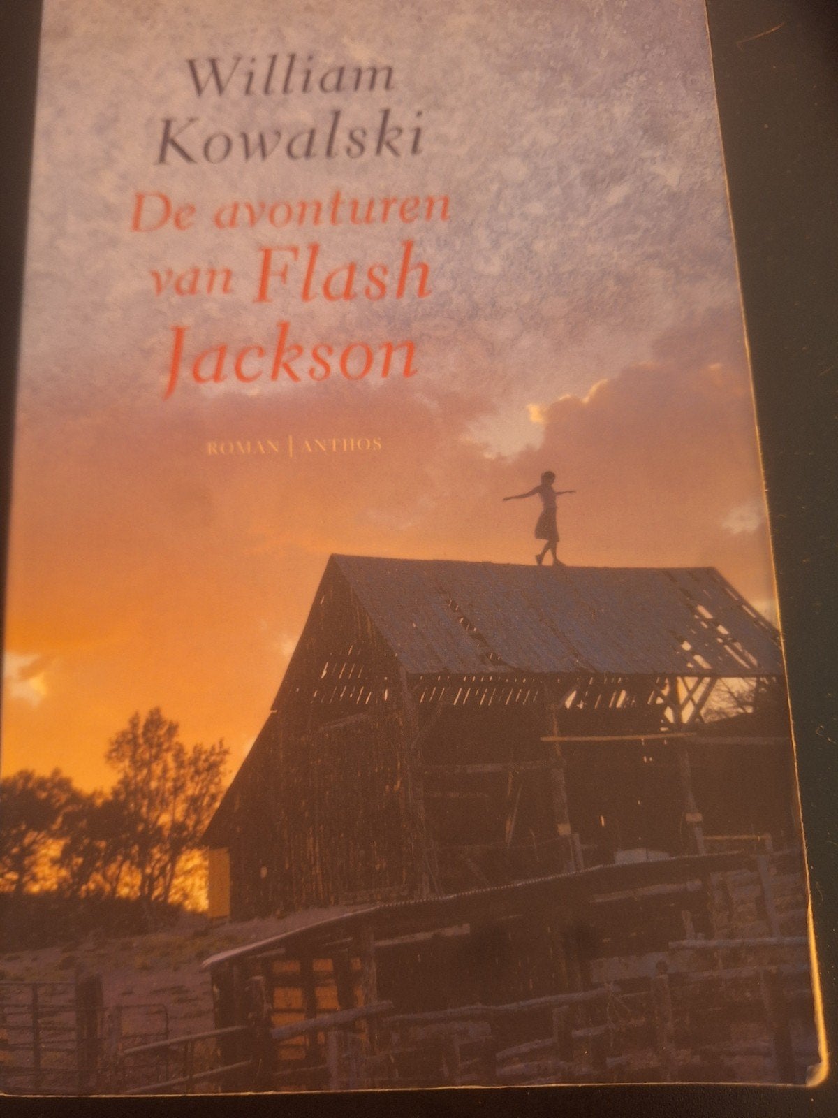De avonturen van Flash Jackson - William Kowalski, Boeken, Romans, Gelezen, Nederland, Ophalen of Verzenden