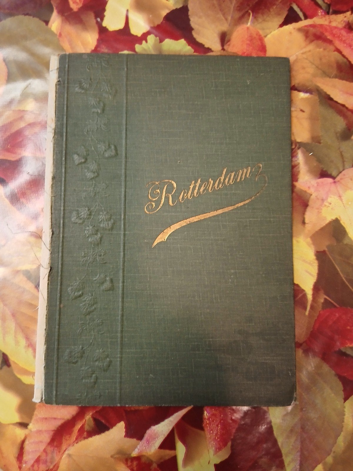 Rotterdam 1806-1906: Historische Fotocollectie, Ophalen of Verzenden, Gelezen, De Erven de Wed J. van Nelle, Catalogus