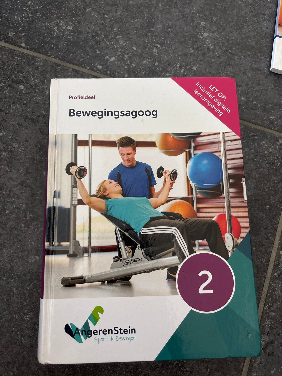 Angerenstein Sport & Bewegen: Bewegingsagoog 2, Ophalen of Verzenden, Gamma, Zo goed als nieuw, MBO