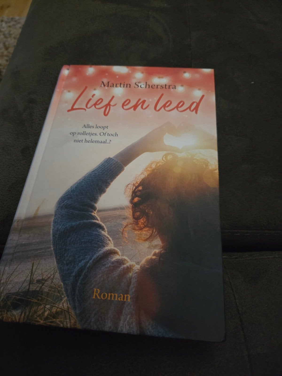 Martin Scherstra - Lief en leed, Noord-Brabant, Martin Scherstra, Ophalen of Verzenden, Zo goed als nieuw