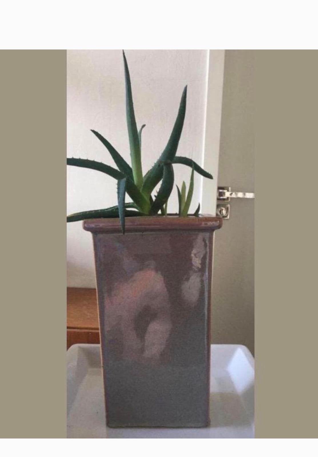 Vintage unieke keramische bloempot Jaren’50 kwaliteit, Ophalen, Binnen, Zo goed als nieuw, Terracotta