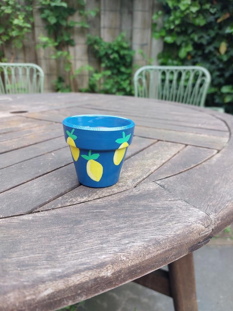 Handgeschilderde terracotta pot met citroenen, Rond, Ophalen of Verzenden, Terracotta, Binnen