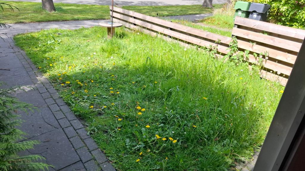Tuinman/vrouw gezocht met eigen gereedschap, Ophalen of Verzenden, 20 m² of meer, Gras