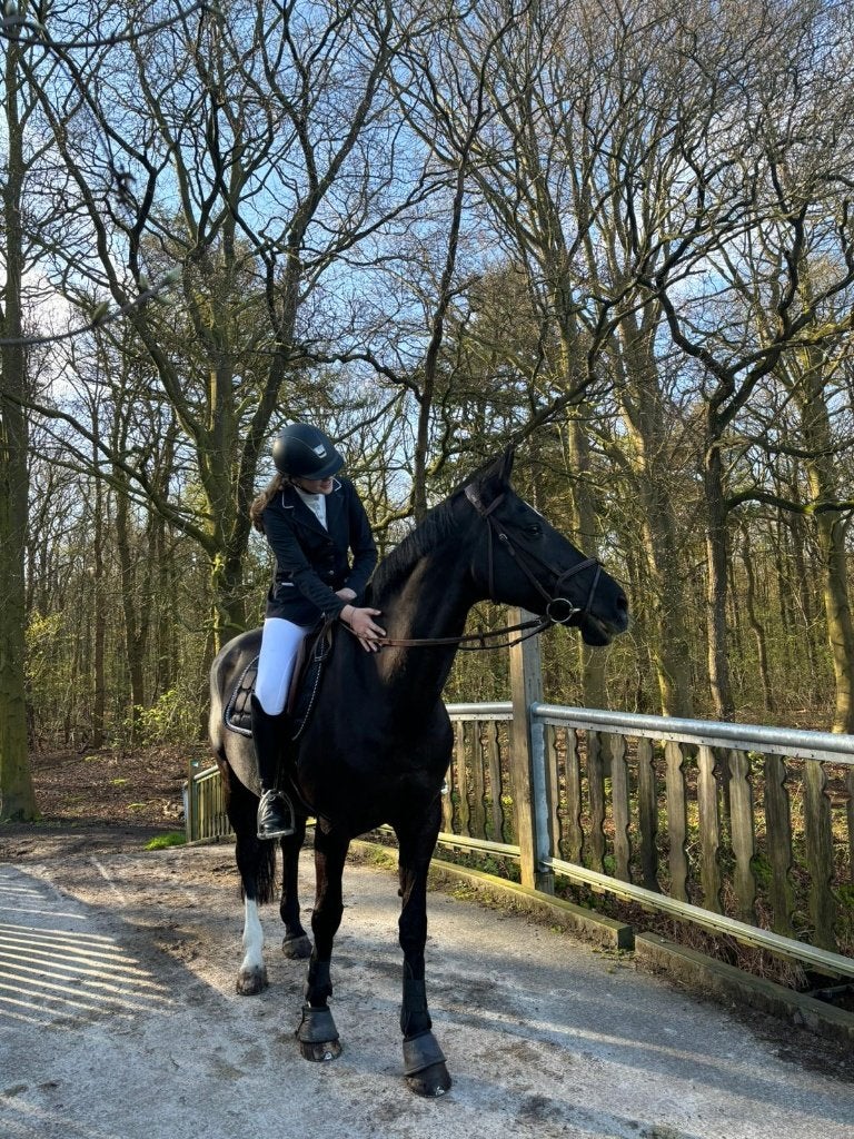 KWPN allroundmerrie, Ophalen, Gebruikt, Overige merken, Overige typen