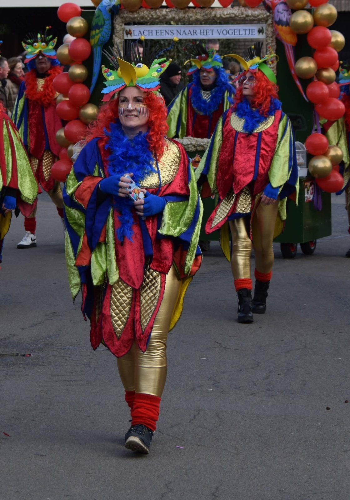 Vogelpakken, Kleding | Dames, Ophalen, Zo goed als nieuw, Carnaval