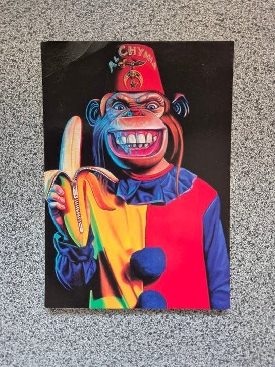 Boomerang Ansichtkaart - Ron English Popaganda Aap, Verzamelen, Ansichtkaarten | Nederland, Ophalen of Verzenden, 1980 tot heden