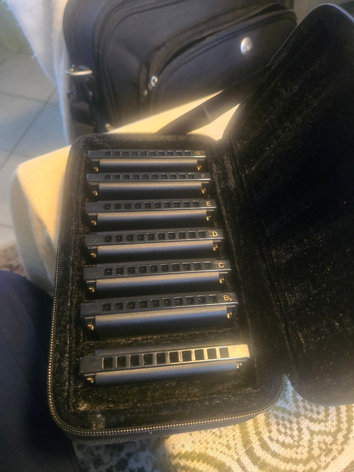 Hohner Piedmont Blues Harmonica Set (PBH7) met koffer, Ophalen of Verzenden, Zo goed als nieuw, Overige typen, Met koffer of doosje