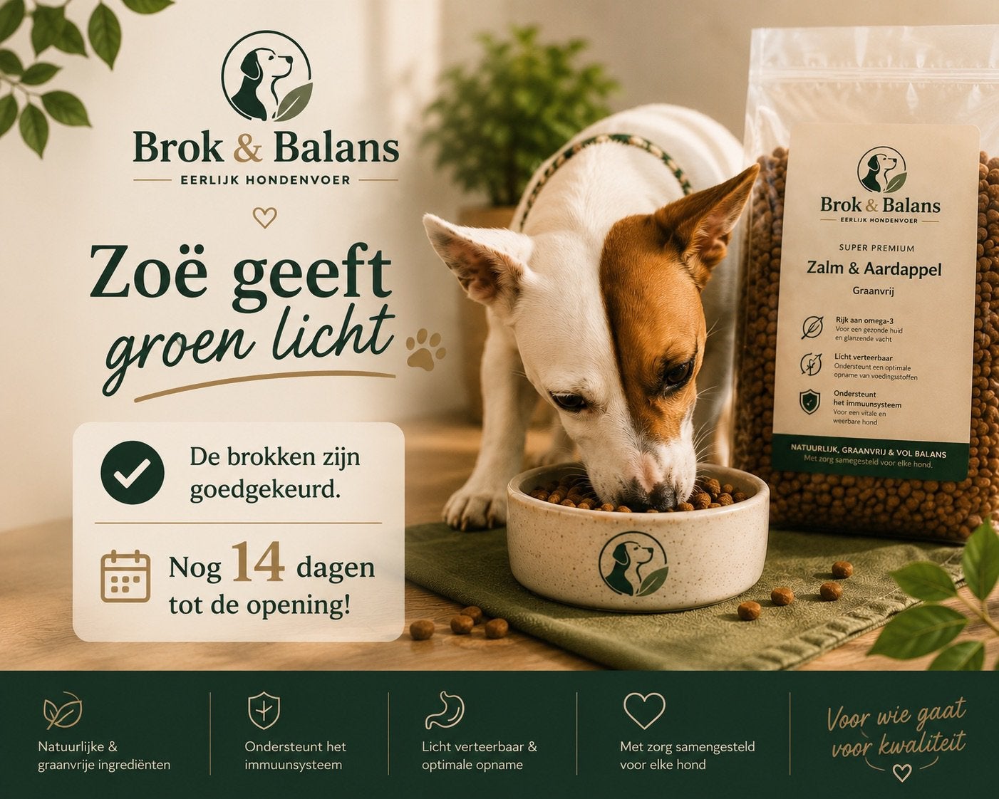 Zoë heeft de eerste keuring afgerond…, Dieren en Toebehoren, Ophalen of Verzenden, Hond