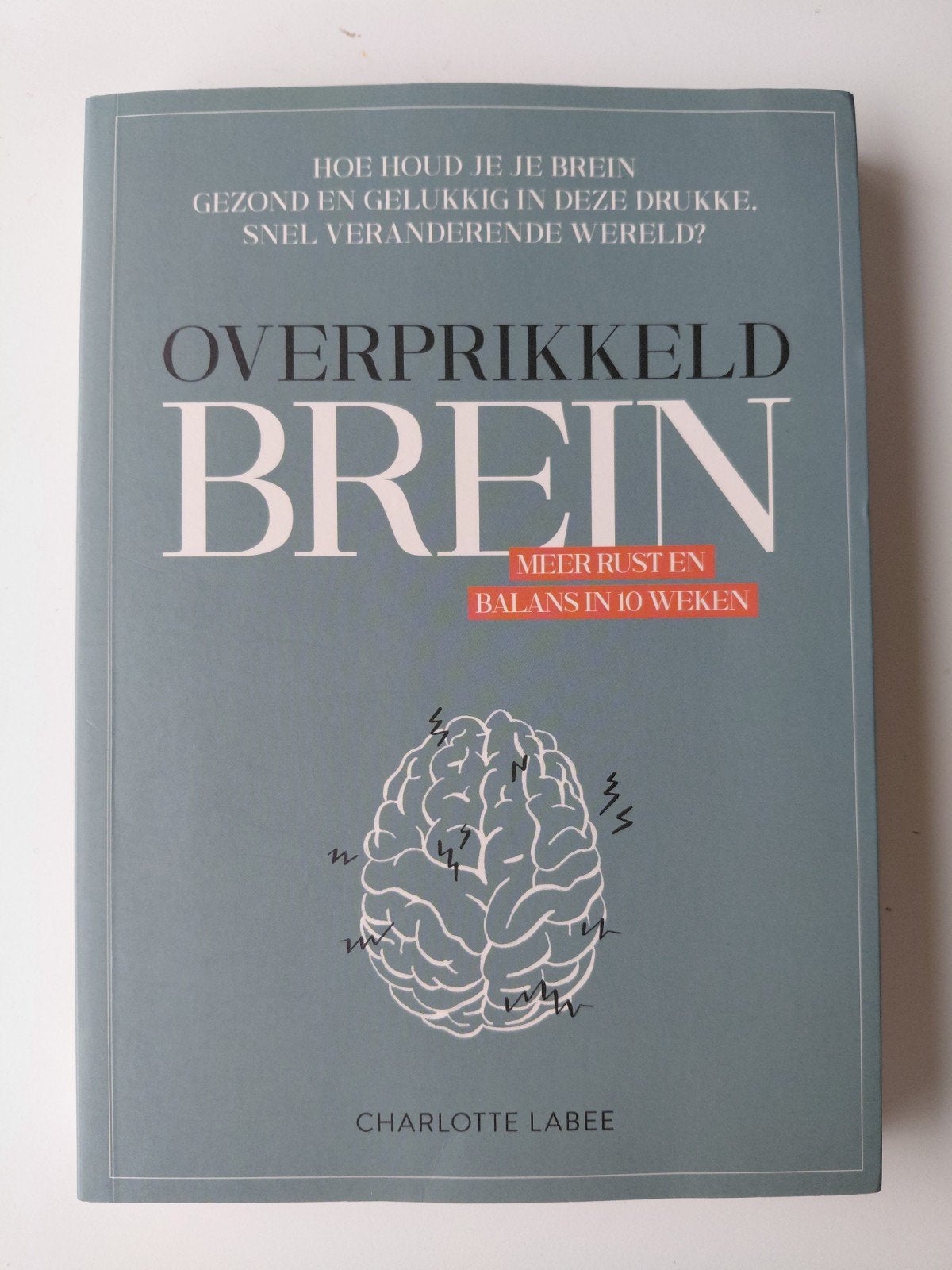 Charlotte Labee - Overprikkeld brein, Ophalen of Verzenden, Zo goed als nieuw, Charlotte Labee
