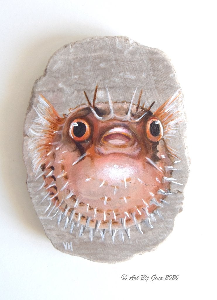 Knappe kogelvis, geschilderd op een mooi stenen schijfje, Ophalen of Verzenden