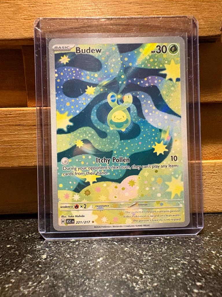 Budew ASC 221/217, Ophalen of Verzenden, Zo goed als nieuw, Losse kaart