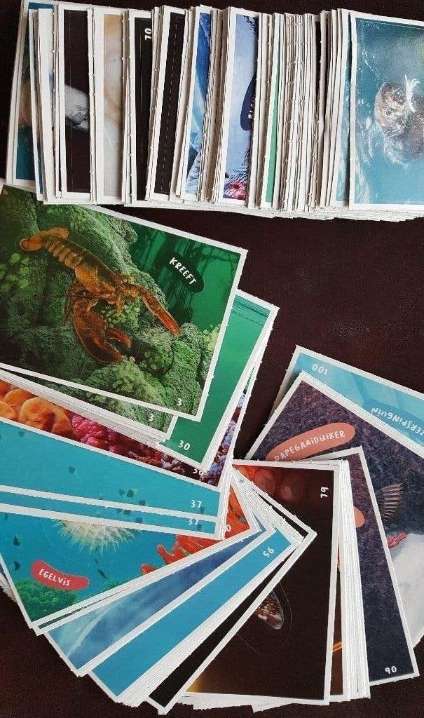Freek Vonk/Expeditie Oceaanstickers - veel oceaanplaatjes!, Albert Heijn, Ophalen