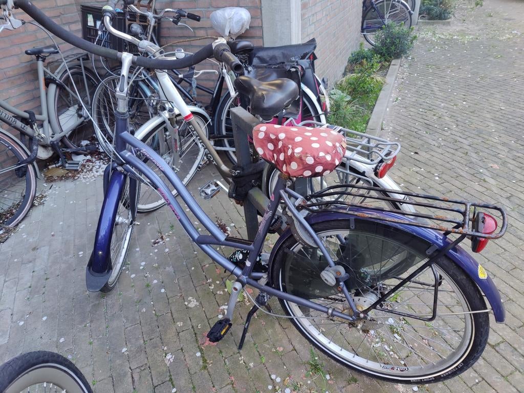 Sparta moederfiets met versnellingen, Ophalen, Sparta, Gebruikt, Versnellingen