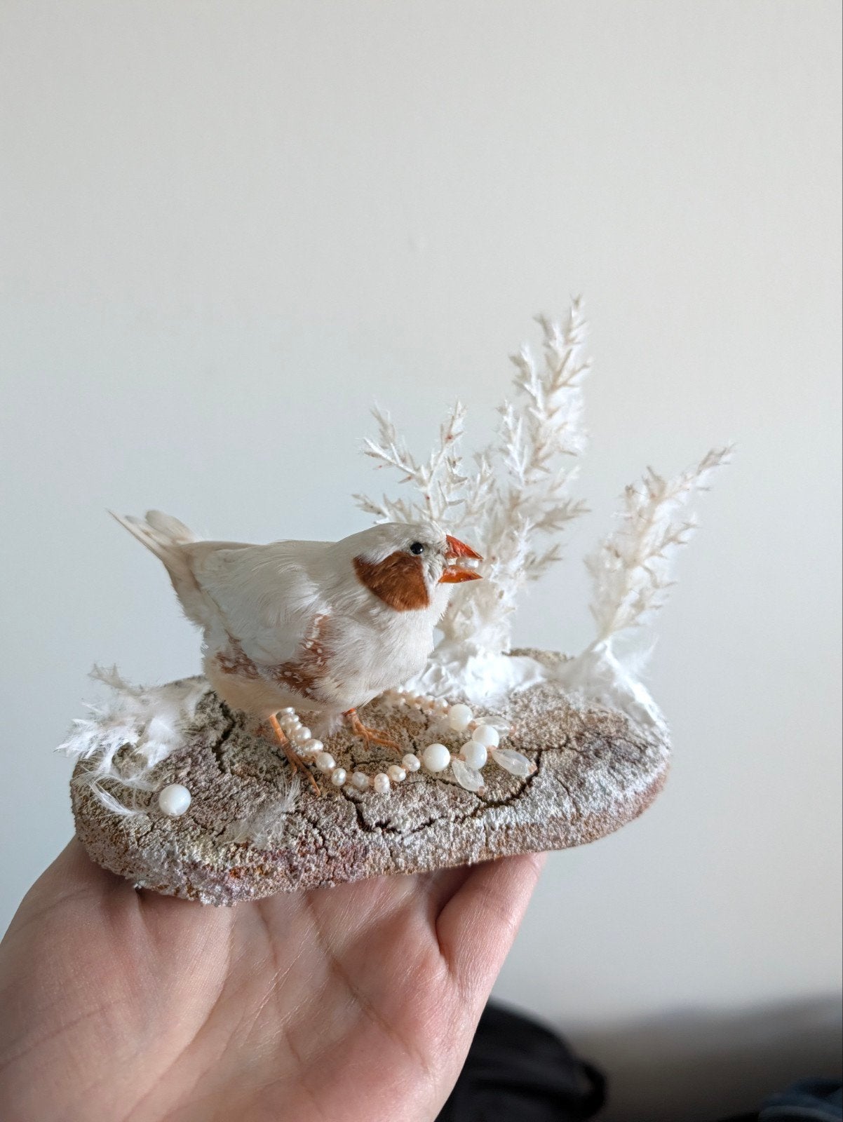 Sprookjesachtige Vink Taxidermie met Sieraden, Ophalen of Verzenden, Nieuw, Vogel, Opgezet dier